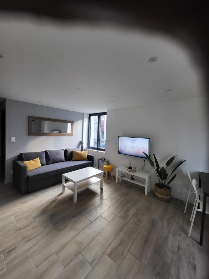 Appartement Entierement Renove A Neuf 101 Сент-Етьєн Екстер'єр фото